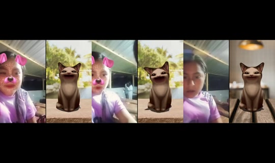 jhannis_nicol.com TikTok Live — Sep 17, 2026, 11:33 PM