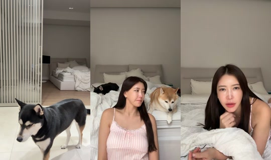 jihojin66 TikTok Live — Oct 1, 2026, 10:42 AM