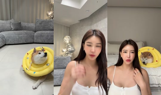 jihojin66 TikTok Live — Oct 7, 2026, 8:13 AM