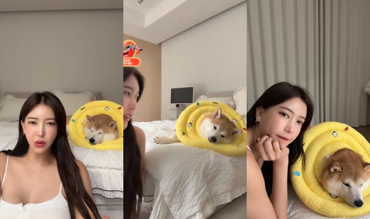 jihojin66 TikTok Live — Oct 7, 2026, 9:04 AM