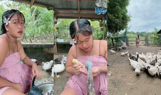 jonnarosetaguiam TikTok Live — Aug 25, 2026, 2:17 AM