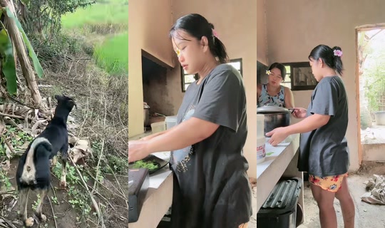jonnarosetaguiam TikTok Live — Sep 1, 2026, 2:57 AM