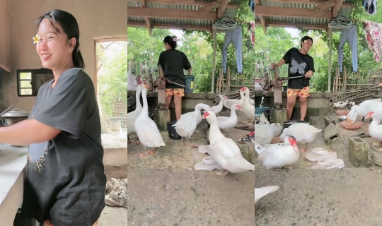 jonnarosetaguiam TikTok Live — Sep 1, 2026, 3:48 AM