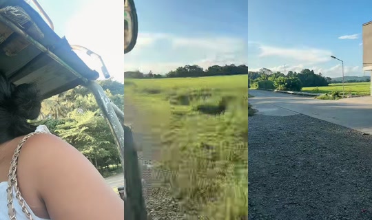 jonnarosetaguiam TikTok Live — Oct 4, 2026, 8:36 AM