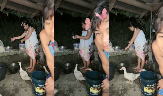 jonnarosetaguiam TikTok Live — Oct 4, 2026, 10:24 AM
