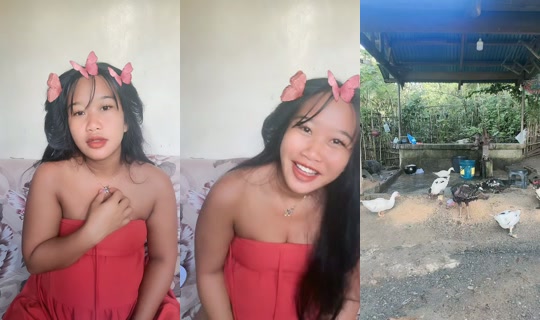 jonnarosetaguiam TikTok Live — Oct 7, 2026, 11:24 PM