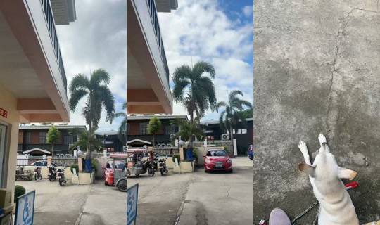 jonnarosetaguiam TikTok Live — Oct 8, 2026, 1:46 AM