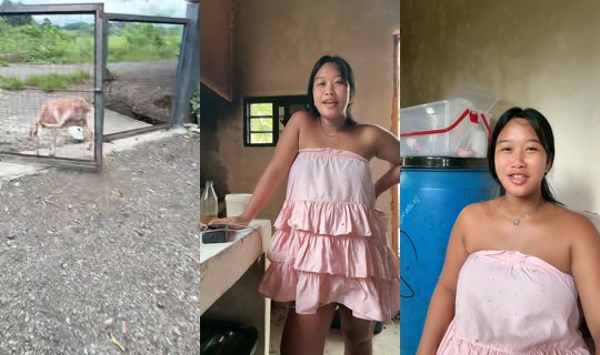 jonnarosetaguiam TikTok Live — Oct 8, 2026, 8:09 AM