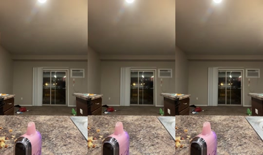 joyfoxxi TikTok Live — Sep 30, 2026, 6:13 AM