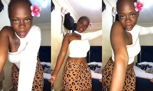 joylavex TikTok Live — Sep 30, 2026, 8:16 AM