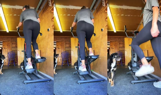 jrschneides20 TikTok Live — Sep 14, 2026, 8:31 PM