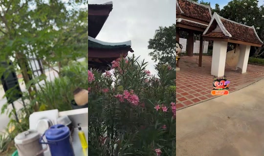 jule.live TikTok Live — Sep 2, 2026, 10:02 AM