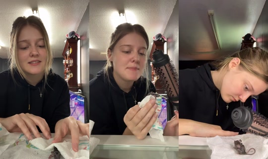 just_spammmmss TikTok Live — Sep 23, 2026, 4:38 PM