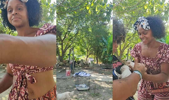 justlove69911 TikTok Live — Oct 2, 2026, 4:49 PM