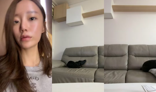 justssbh TikTok Live — Aug 24, 2026, 12:24 PM