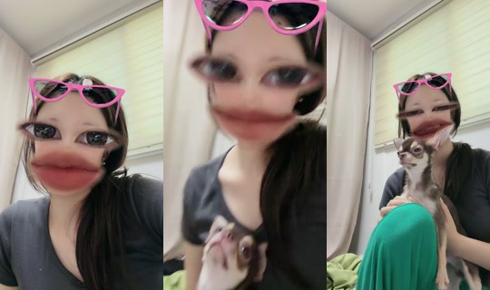 jwms8109 TikTok Live — Aug 24, 2026, 8:01 AM