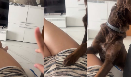 kaliequestrian TikTok Live — Sep 8, 2026, 3:54 PM