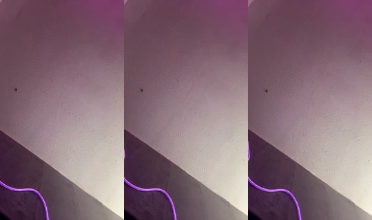 kamikazikk TikTok Live — Aug 28, 2026, 10:43 PM