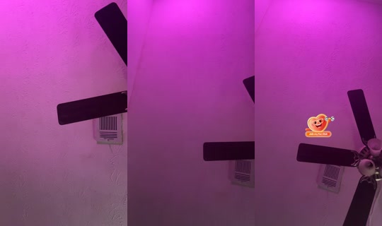 kamikazikk TikTok Live — Sep 3, 2026, 2:55 AM