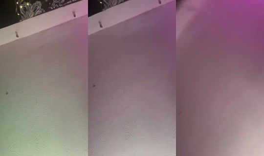 kamikazikk TikTok Live — Sep 19, 2026, 9:44 PM