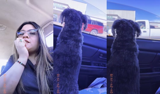karencitaurbina0 TikTok Live — Aug 30, 2026, 11:04 PM
