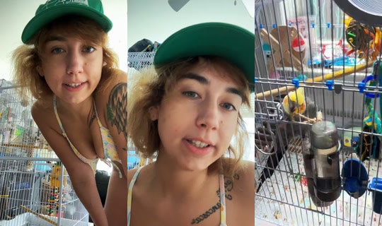 karmenfrancesca TikTok Live — Sep 2, 2026, 4:49 PM