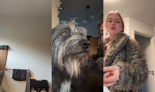 katharina.g59 TikTok Live — Oct 8, 2026, 4:29 PM