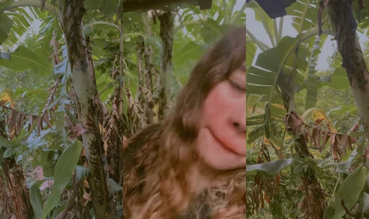 katherine.colindres TikTok Live — Aug 23, 2026, 11:15 PM