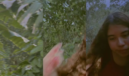 katherine.colindres TikTok Live — Sep 5, 2026, 11:41 PM