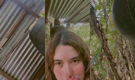 katherine.colindres TikTok Live — Sep 6, 2026, 5:54 PM