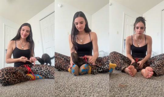katherine__24_ TikTok Live — Oct 6, 2026, 8:25 PM