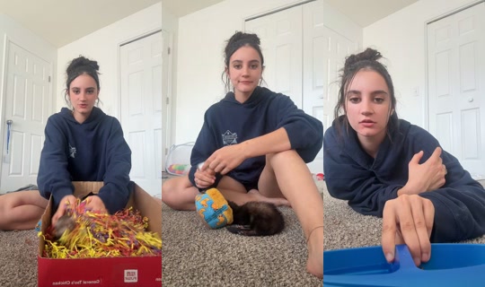 katherine__24_ TikTok Live — Oct 7, 2026, 7:13 PM