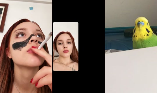 kayisilicanga TikTok Live — Aug 23, 2026, 11:01 AM
