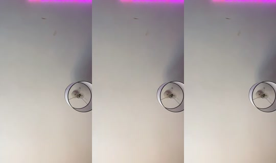 kaykay.222._ TikTok Live — Sep 22, 2026, 1:49 PM