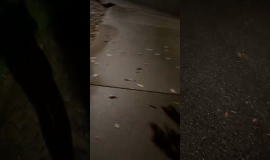 kaylavarble TikTok Live — Oct 4, 2026, 4:16 AM