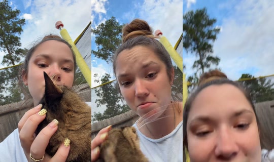 kaylynkays TikTok Live — Oct 3, 2026, 11:28 PM