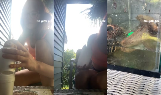 kbug0485 TikTok Live — Aug 28, 2026, 10:34 PM