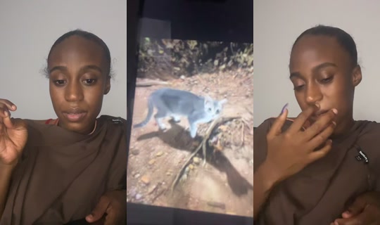 kerstinrecole TikTok Live — Sep 21, 2026, 5:48 AM