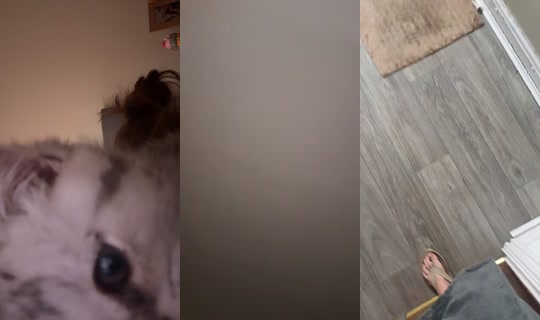 kia.lily26 TikTok Live — Sep 23, 2026, 7:51 AM