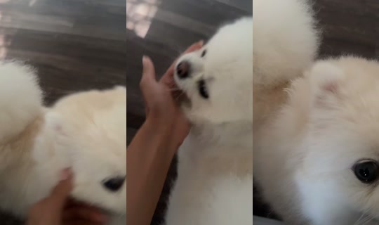 kingdomshearta TikTok Live — Aug 29, 2026, 2:15 PM