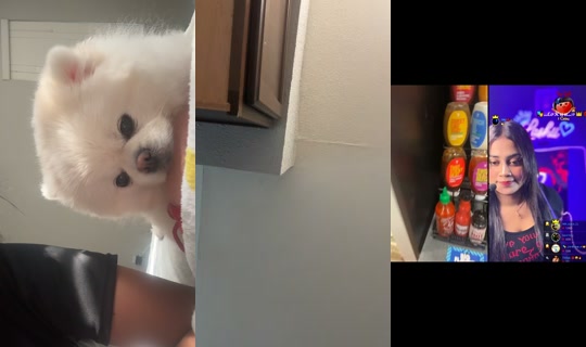 kingdomshearta TikTok Live — Aug 29, 2026, 3:06 PM