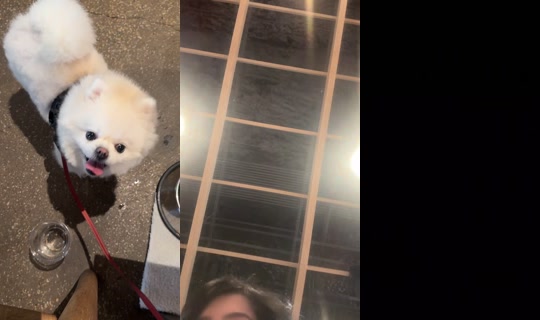 kingdomshearta TikTok Live — Sep 2, 2026, 10:33 PM