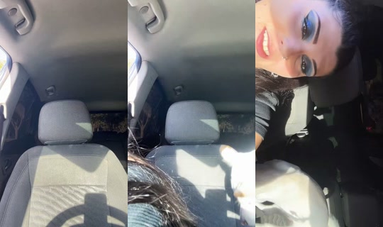 kingsbunny_2229 TikTok Live — Sep 15, 2026, 12:37 AM