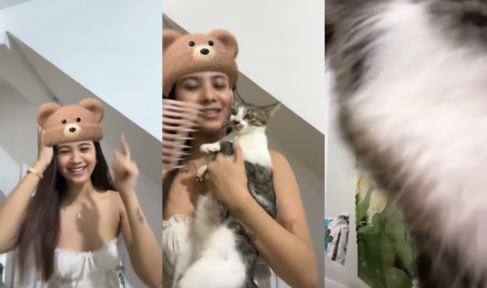 kloey.meow TikTok Live — Sep 1, 2026, 12:10 PM