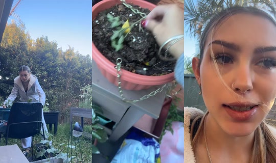kodaaxo_ TikTok Live — Sep 26, 2026, 6:50 AM