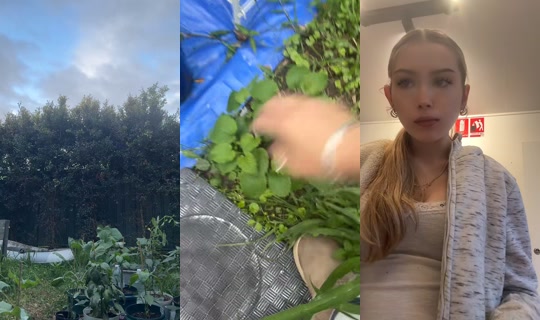 kodaaxo_ TikTok Live — Oct 8, 2026, 7:14 AM