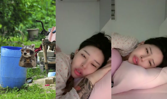 kongeee99 TikTok Live — Aug 28, 2026, 12:20 PM