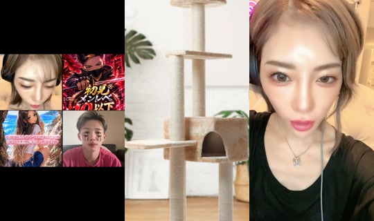 kotono55555 TikTok Live — Sep 1, 2026, 12:56 AM