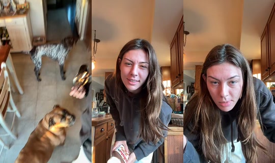 ksaluzziiiii TikTok Live — Sep 16, 2026, 11:13 AM