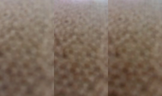 labobo609 TikTok Live — Oct 4, 2026, 1:58 AM
